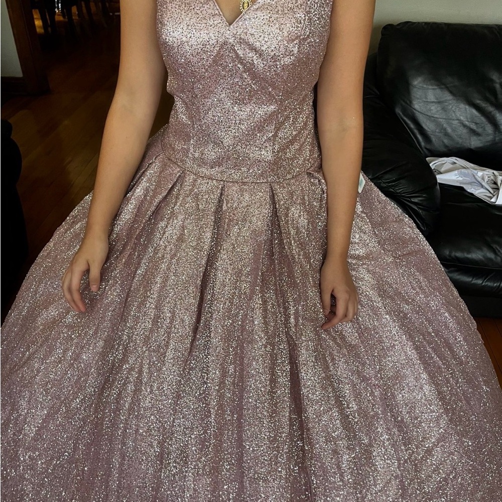 Sparkling Blush Ball Gown Dress